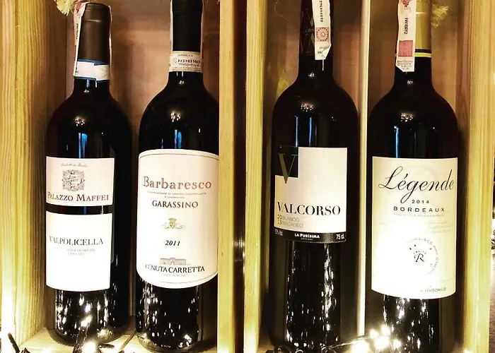 Comm Airport Hotel 3*